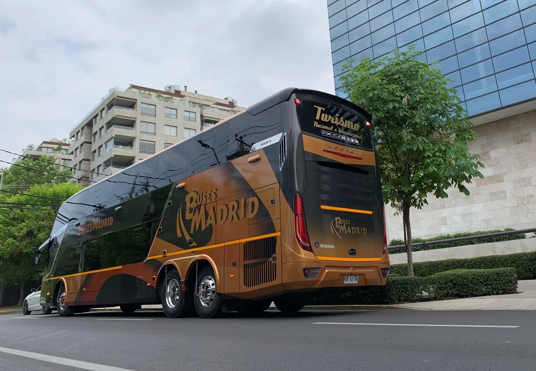 Bus Cama